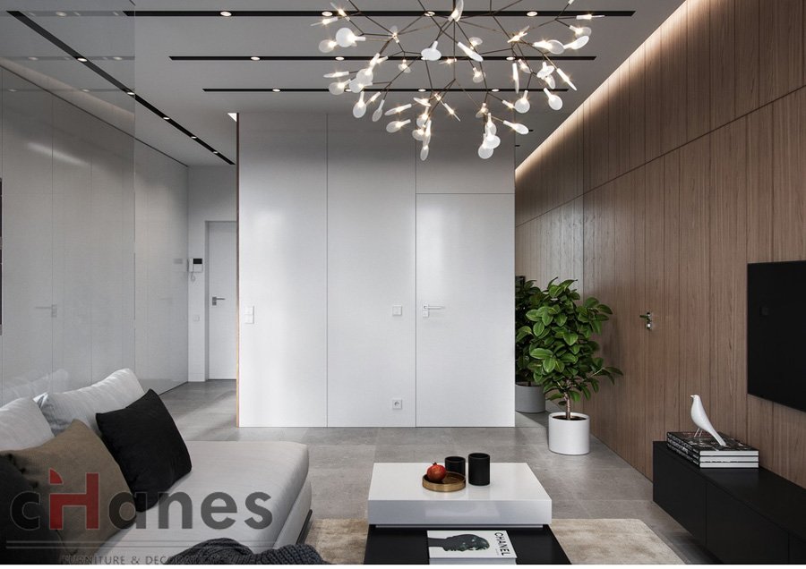 1+1 salon dekorasyonu örnekleri